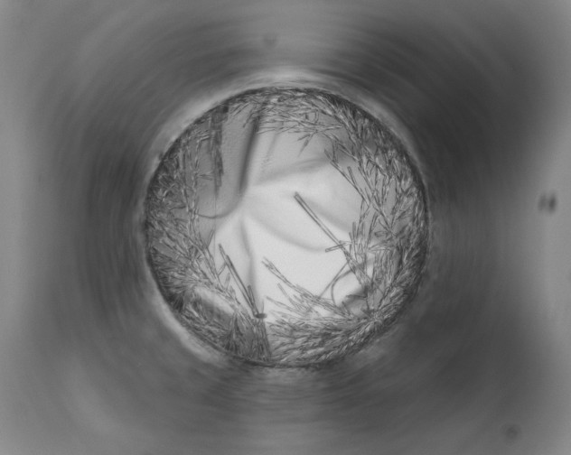 X0000113201429200910011245