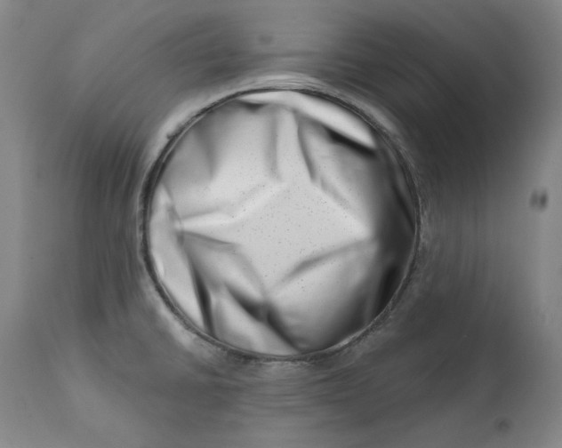 X0000113201430200910011245