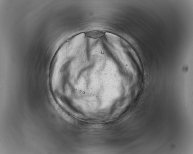 X0000113201431200910011245