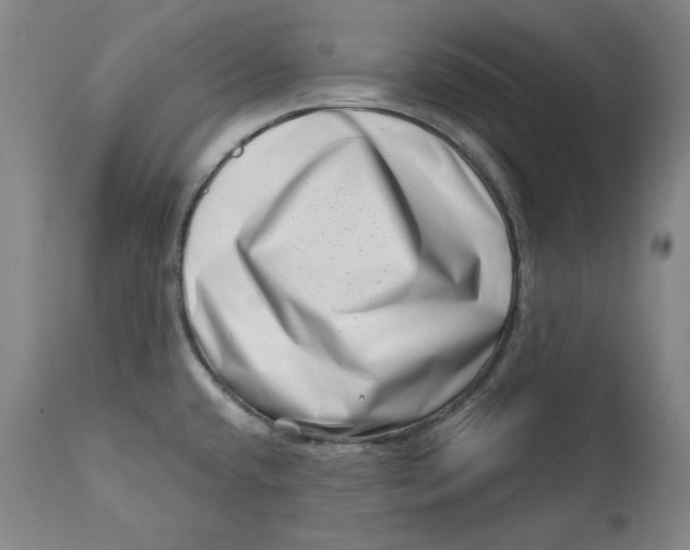 X0000113201432200910011245