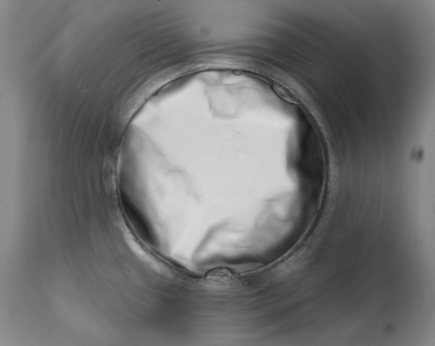 X0000113201433200910011245