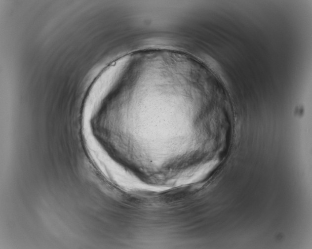 X0000113201435200910011245