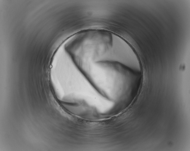 X0000113201436200910011245