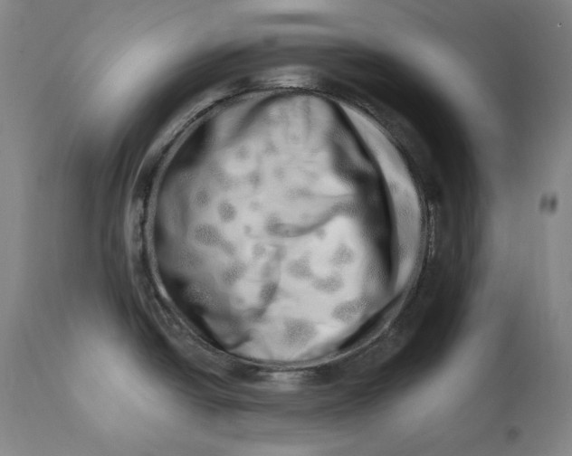 X0000113201438200910011245