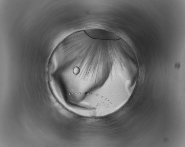 X0000113201439200910011245