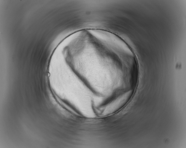 X0000113201440200910011245