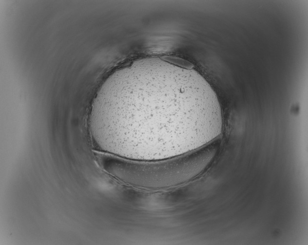 X0000113201441200910011245