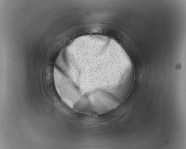 X0000113201442200910011245