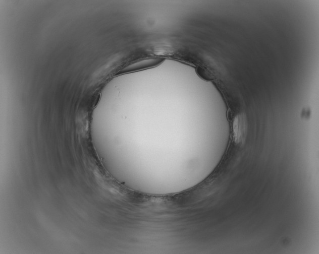 X0000113201443200910011245