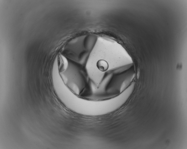 X0000113201444200910011245