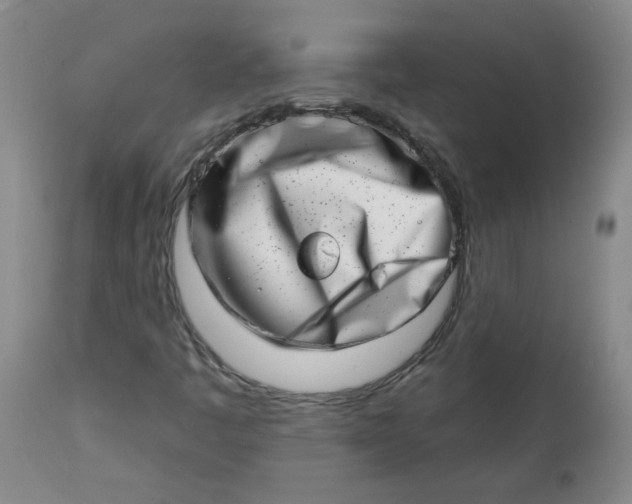 X0000113201445200910011245