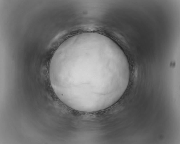 X0000113201446200910011245