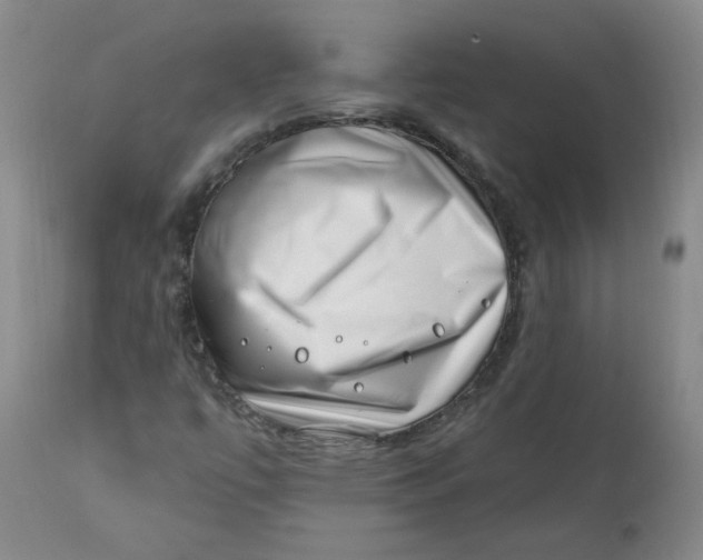 X0000113201447200910011245