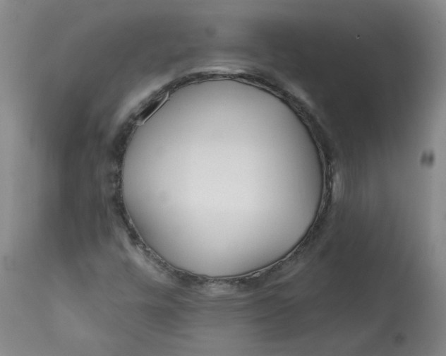 X0000113201448200910011245