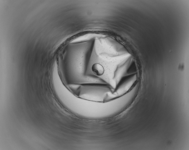 X0000113201449200910011245