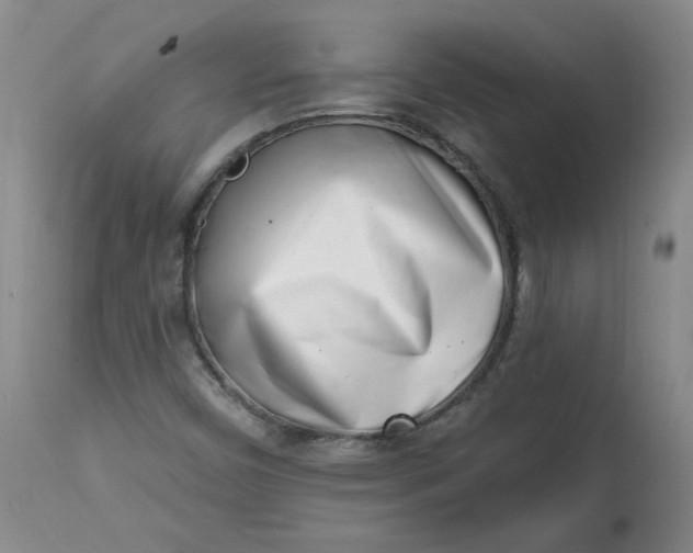 X0000113201450200910011245