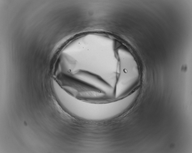 X0000113201452200910011245