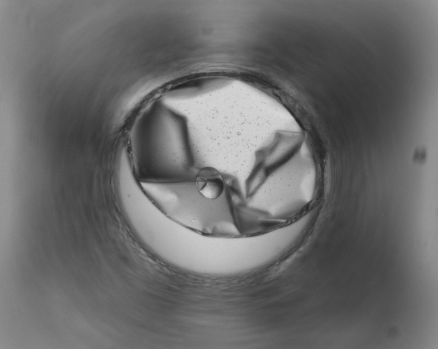 X0000113201453200910011244