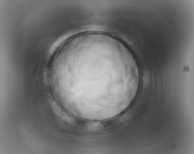 X0000113201454200910011244