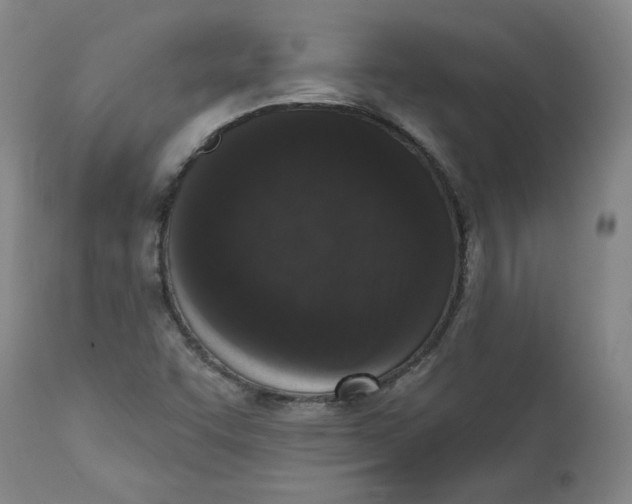 X0000113201455200910011244