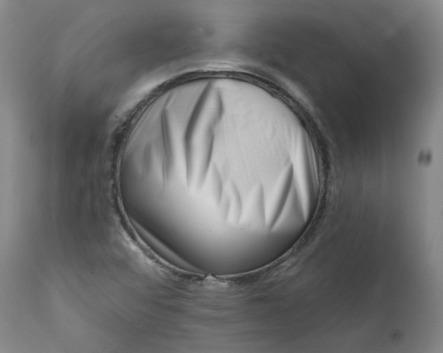 X0000113201456200910011244