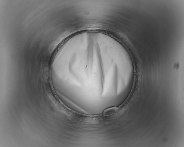 X0000113201457200910011244