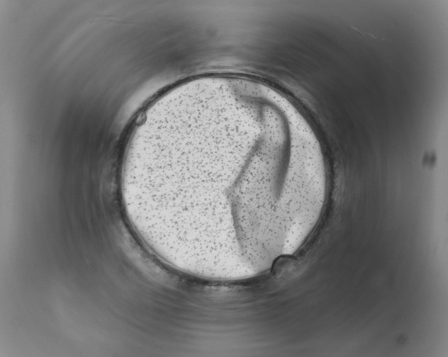 X0000113201458200910011244