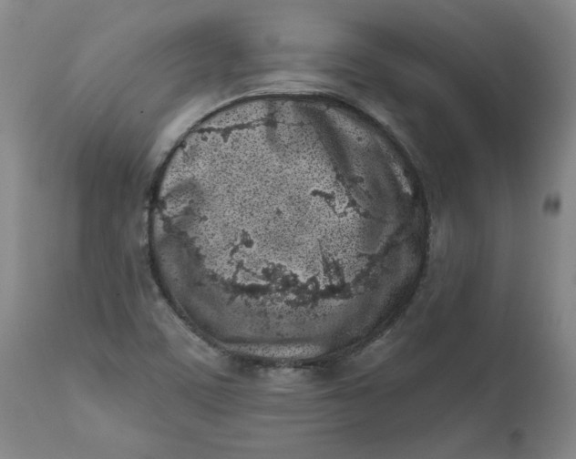 X0000113201459200910011244