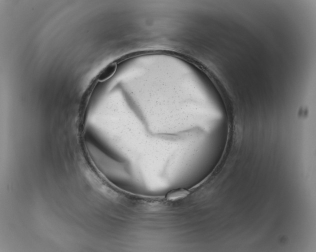 X0000113201460200910011244