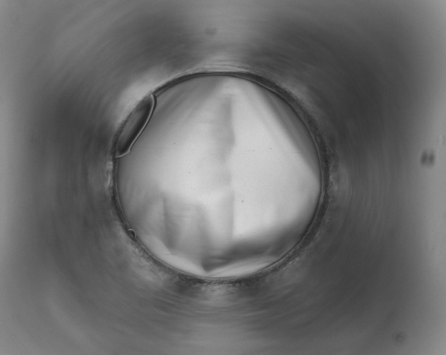 X0000113201461200910011244