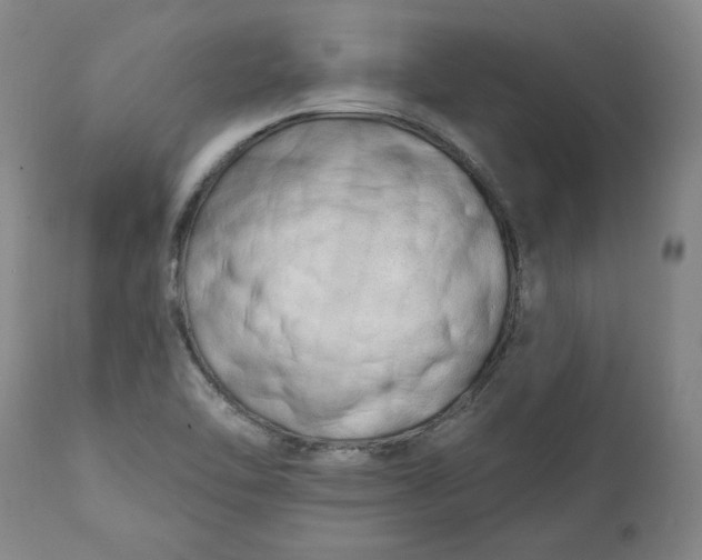 X0000113201462200910011244