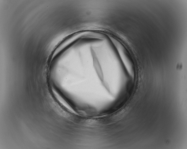 X0000113201463200910011244