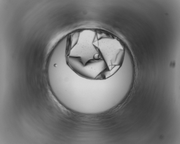 X0000113201464200910011244