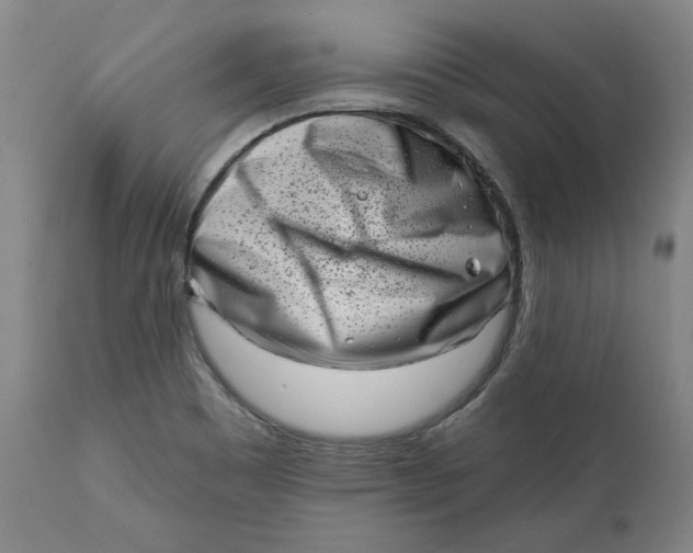 X0000113201465200910011244