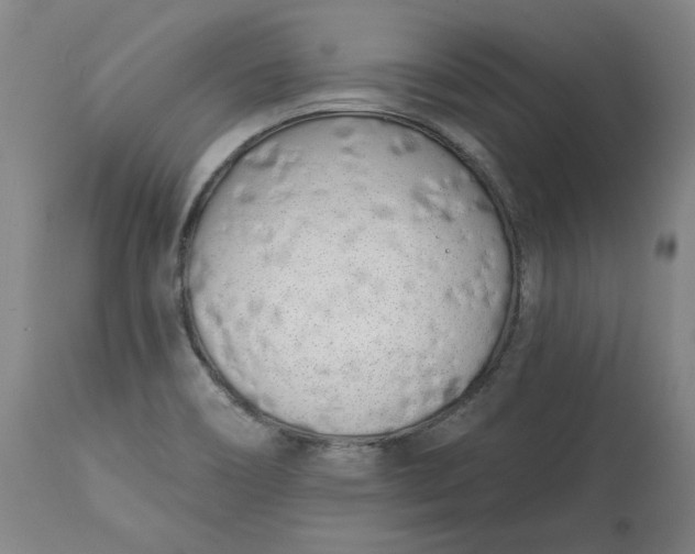 X0000113201466200910011244