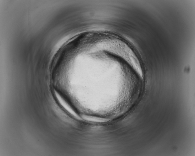 X0000113201467200910011244