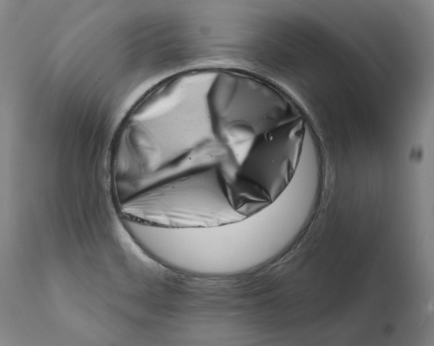 X0000113201468200910011244