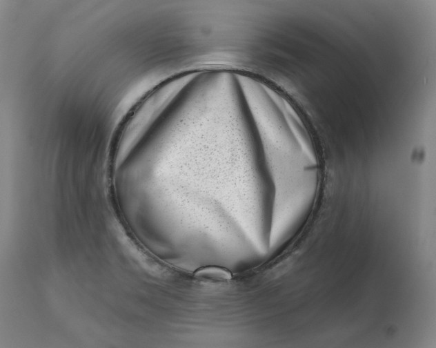 X0000113201469200910011244