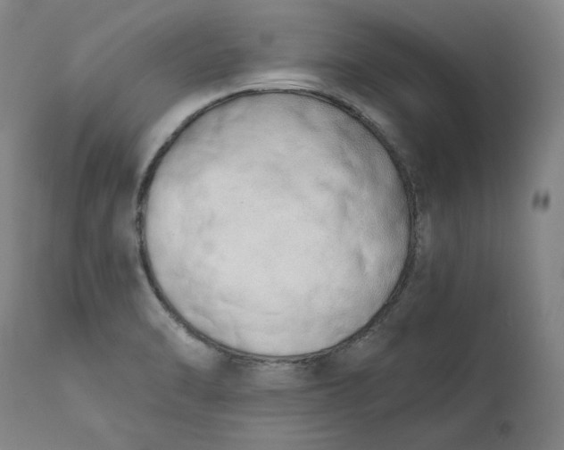 X0000113201470200910011244