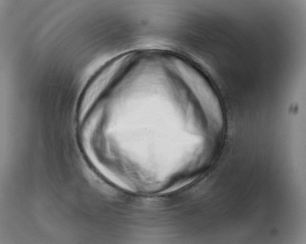 X0000113201471200910011244