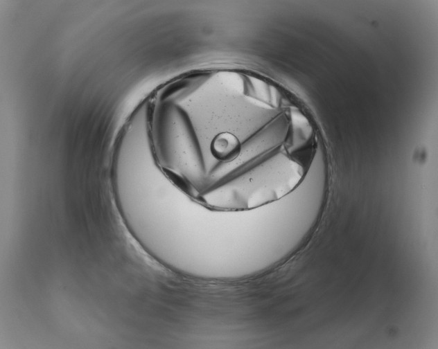 X0000113201472200910011244