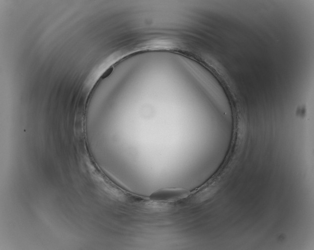 X0000113201473200910011244