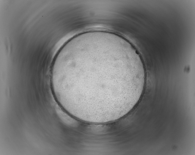 X0000113201474200910011244