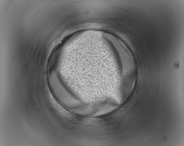 X0000113201475200910011244