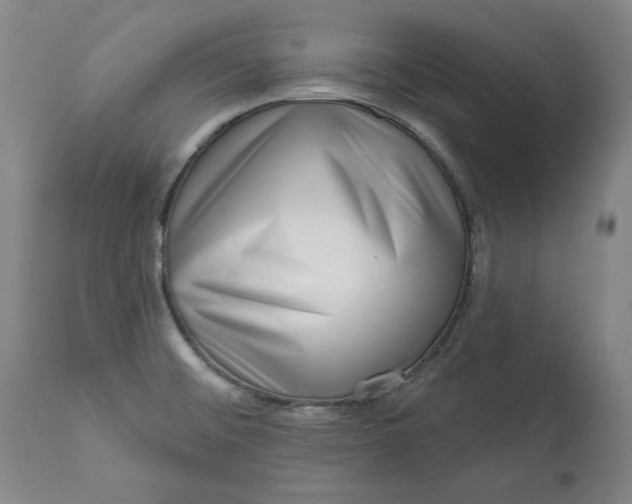 X0000113201476200910011244