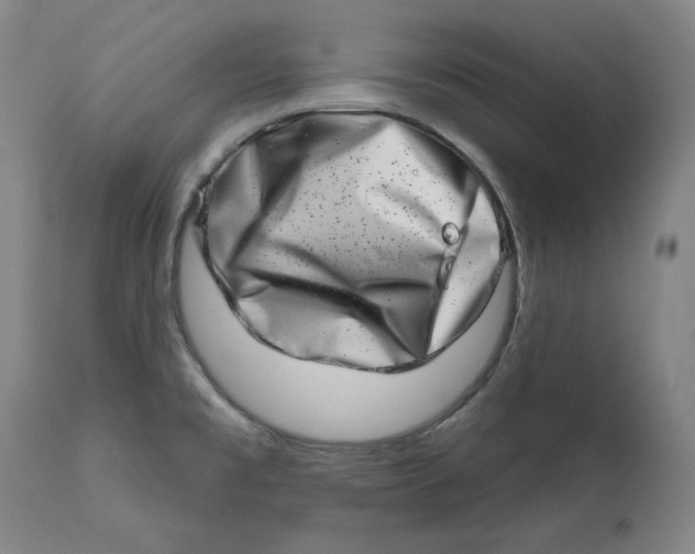 X0000113201477200910011244