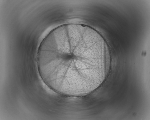 X0000113201478200910011244