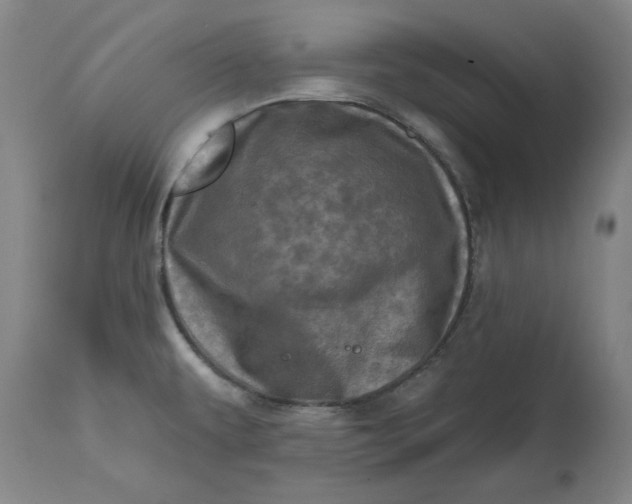 X0000113201479200910011244