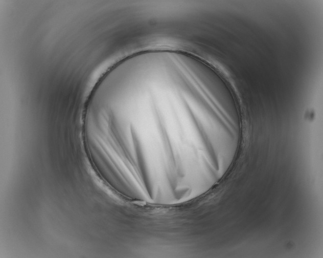 X0000113201480200910011244