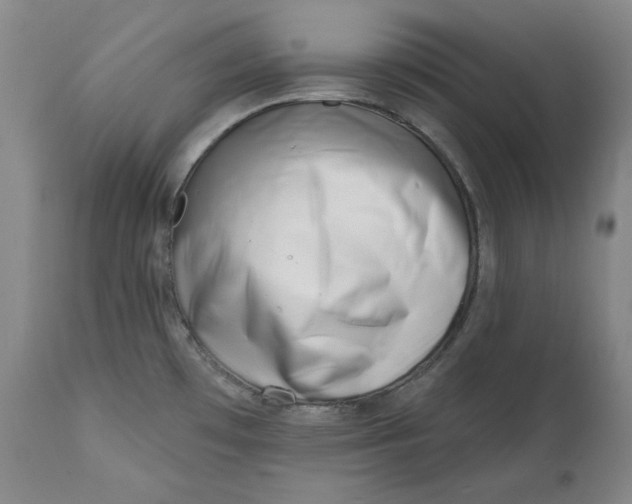 X0000113201481200910011244